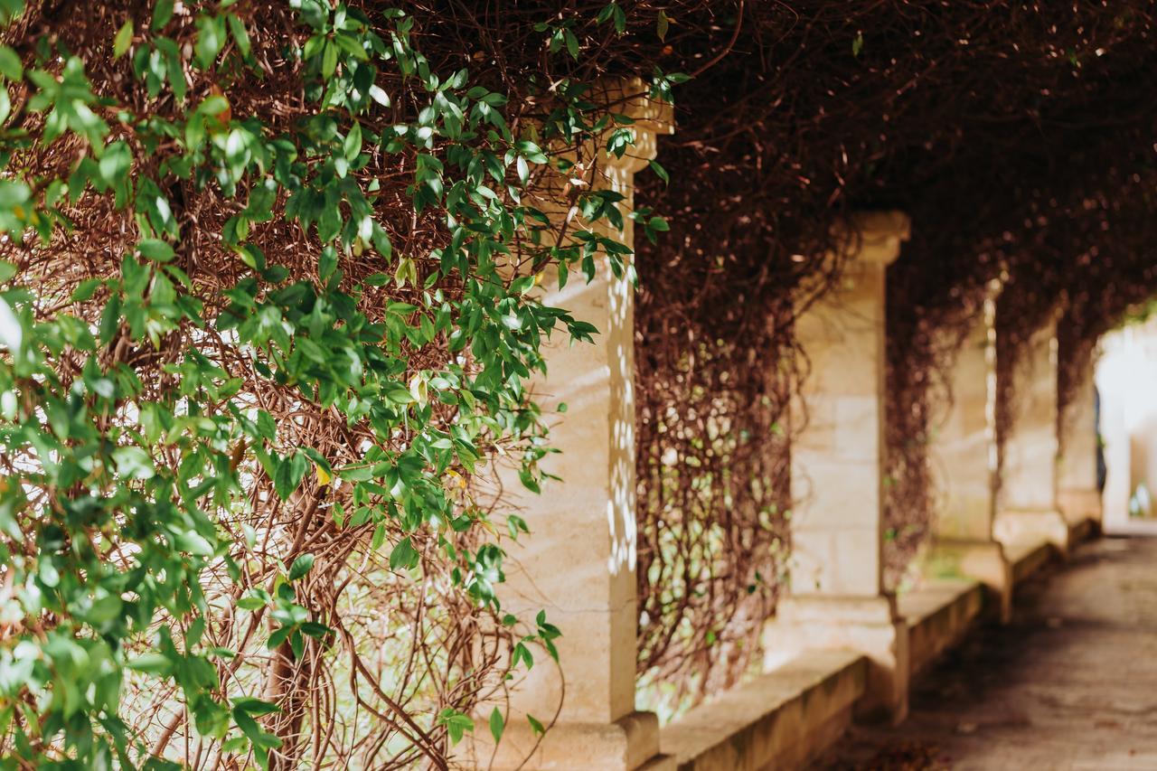 Masseria Ancella Montalbano (Apulia) Exterior foto